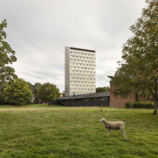 herning hskole